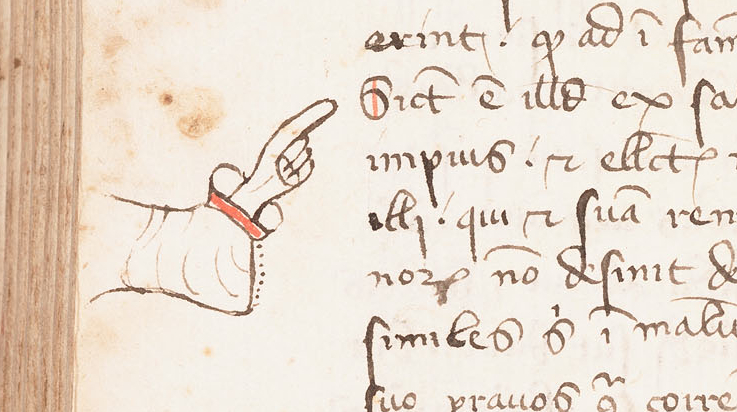 Vatanabeus tweet media