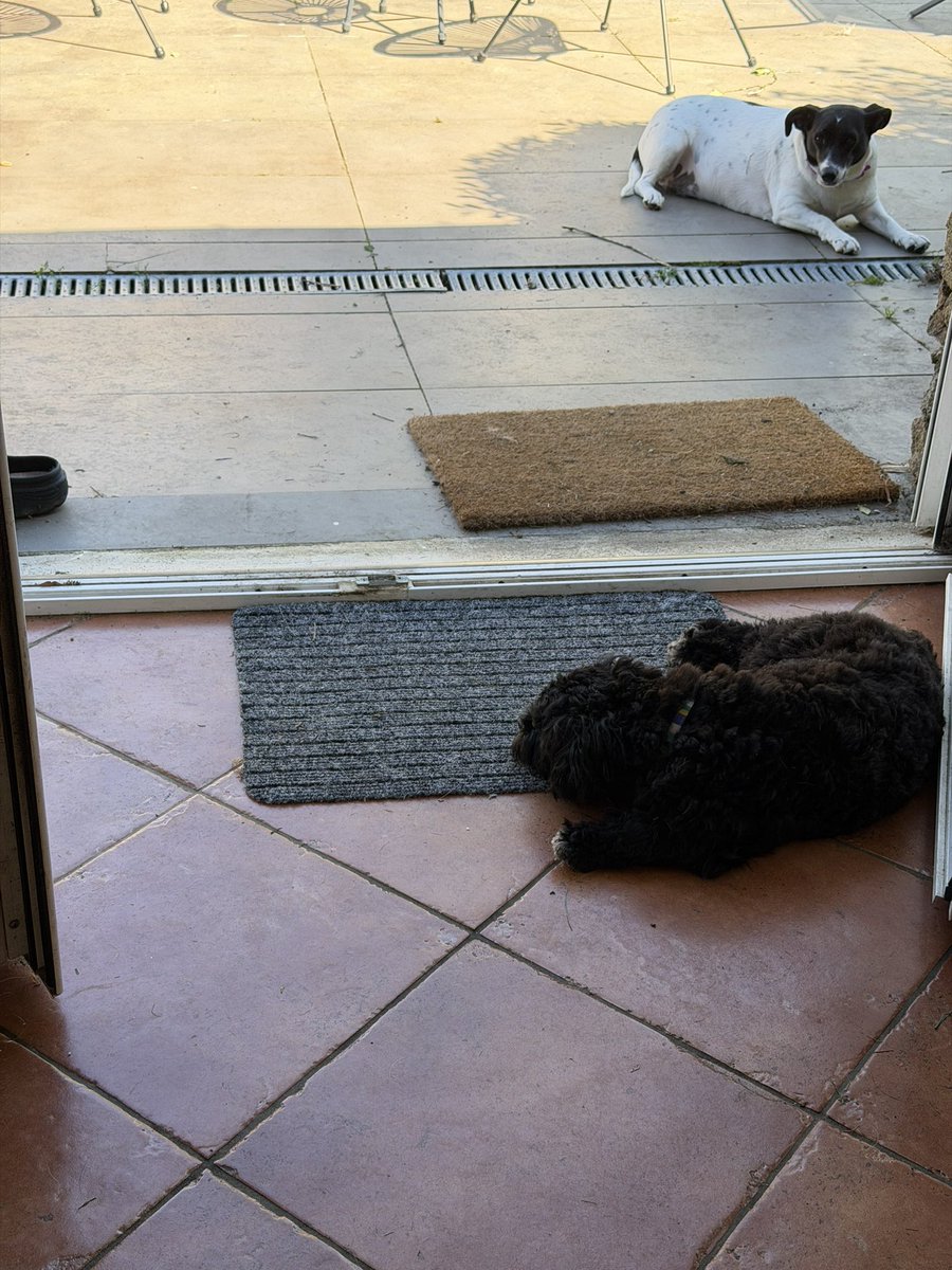 𝗗𝗮𝗺𝗲 𝗣𝗶𝗻𝗽𝗶𝗻 🐰 tweet media