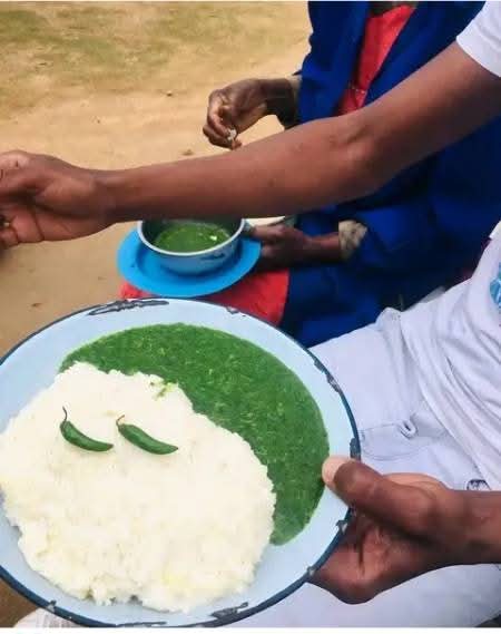 umhlangaswz's tweet image. Lunch is served! 🥣🌟
Sitsi gabigabi 😌🙂‍↕️😋😋
#indigenous #swati #Okra #kudlakwetfu #umsoco #eswatini
