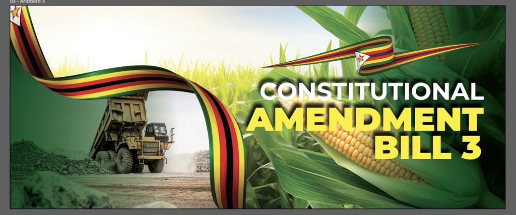 Nick Mangwana tweet media