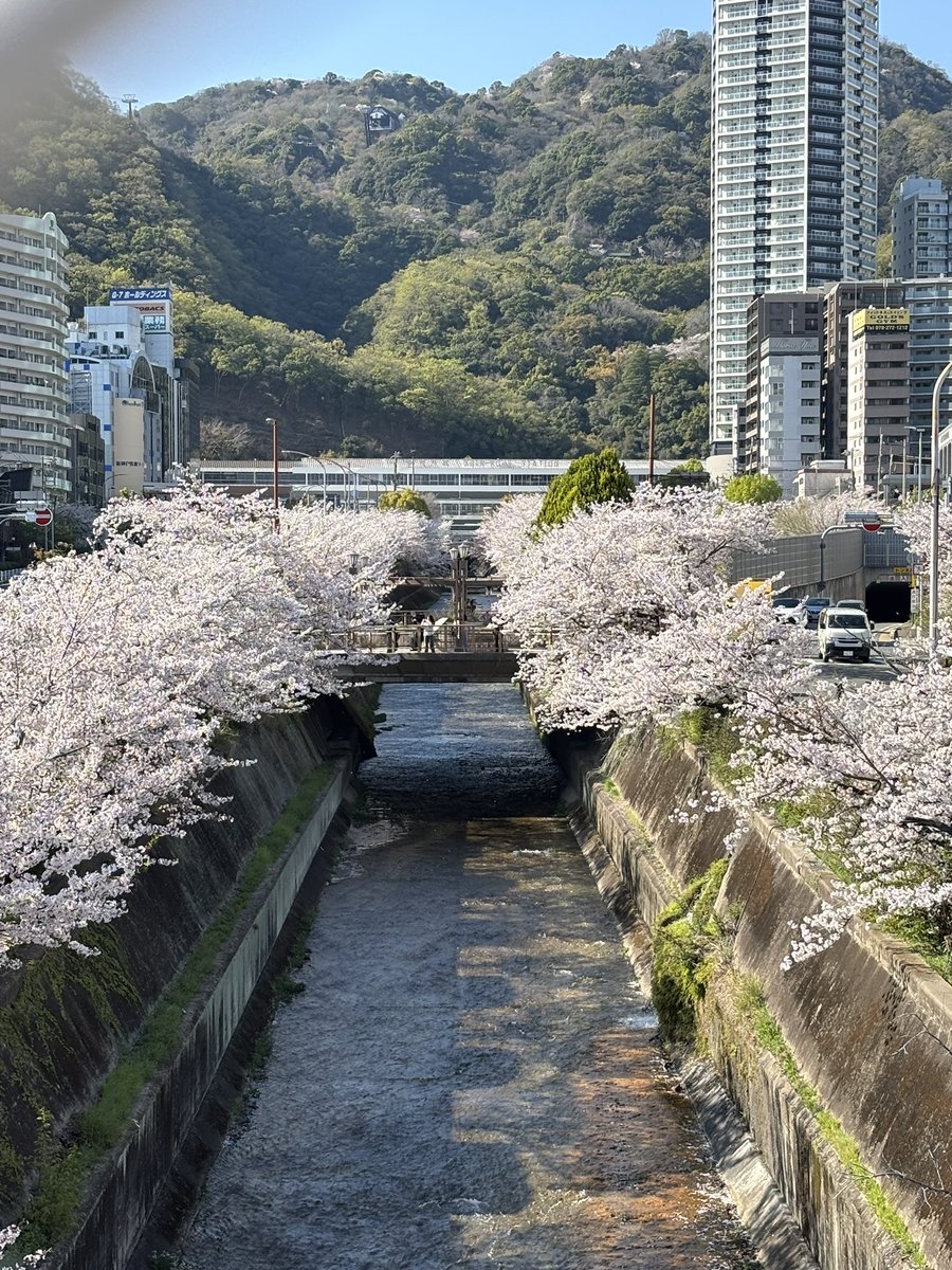maya_gun415's tweet photo. 今日は仕事休みで
新神戸駅前の生田川の
桜を見てきました
満開です
東京でお蕎麦を
食べ損ねたので
三ノ宮のお店でリベンジ
です
ここのお店東京にも
あるようです
美味しかった😊
#新神戸駅前
#生田川
#ISOGAMI FRI BAR https://t.co/VqAJh7K5QK