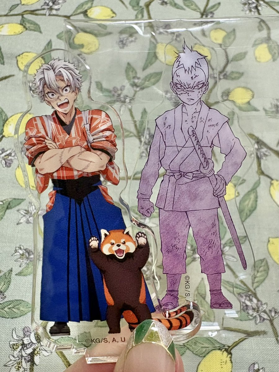 🍃ピンクのカバ🍉 tweet media