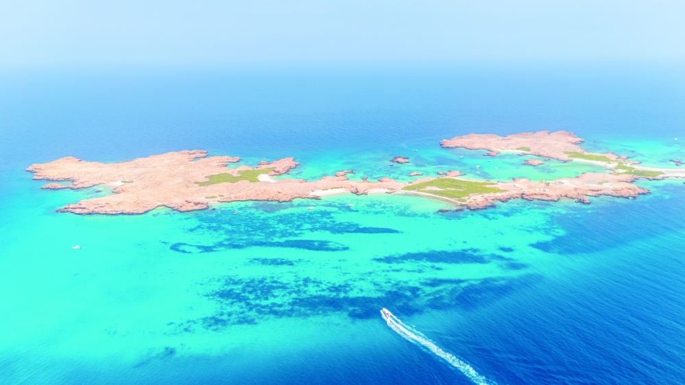 عين مسقط tweet media