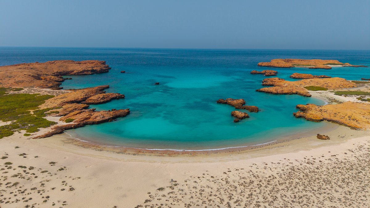 عين مسقط tweet media