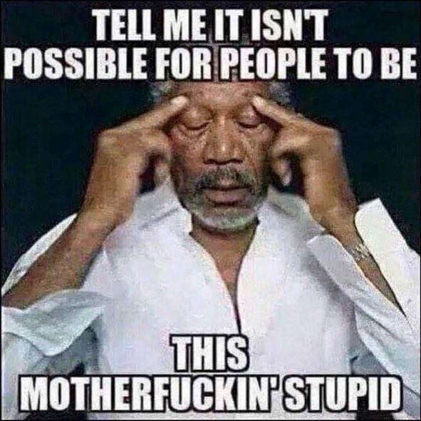 ᗷOOᗰEᖇ ᑕᗩᖇOᒪYᑎ tweet media