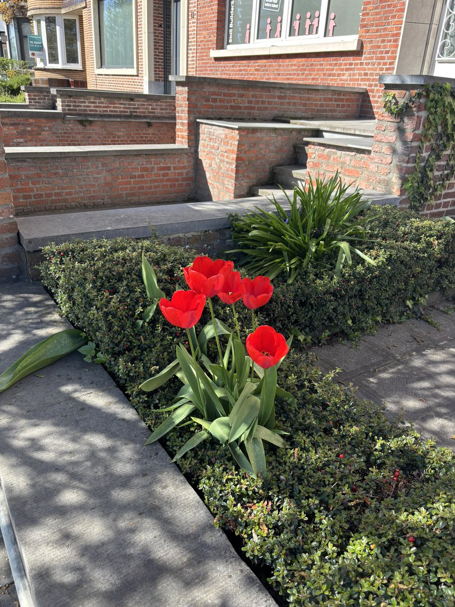 sage ☪︎ tweet media