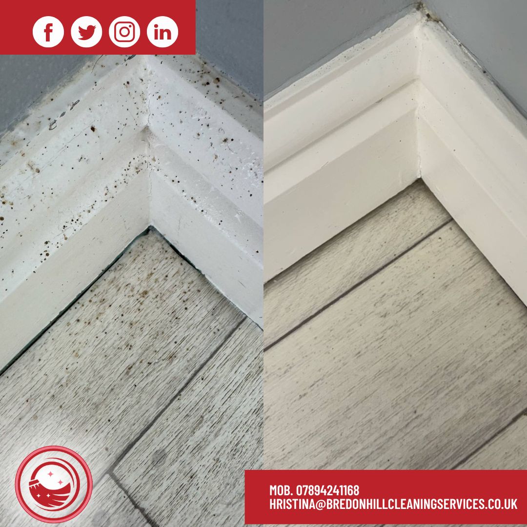 Mould is a health hazard when neglected for too long. Make sure you check your skirting boards, window sills, and walls regularly.
