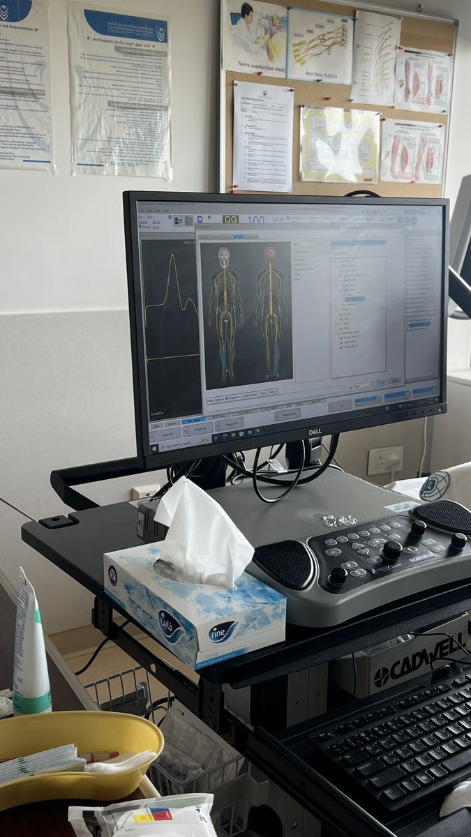 Raghad Alotaibi tweet media