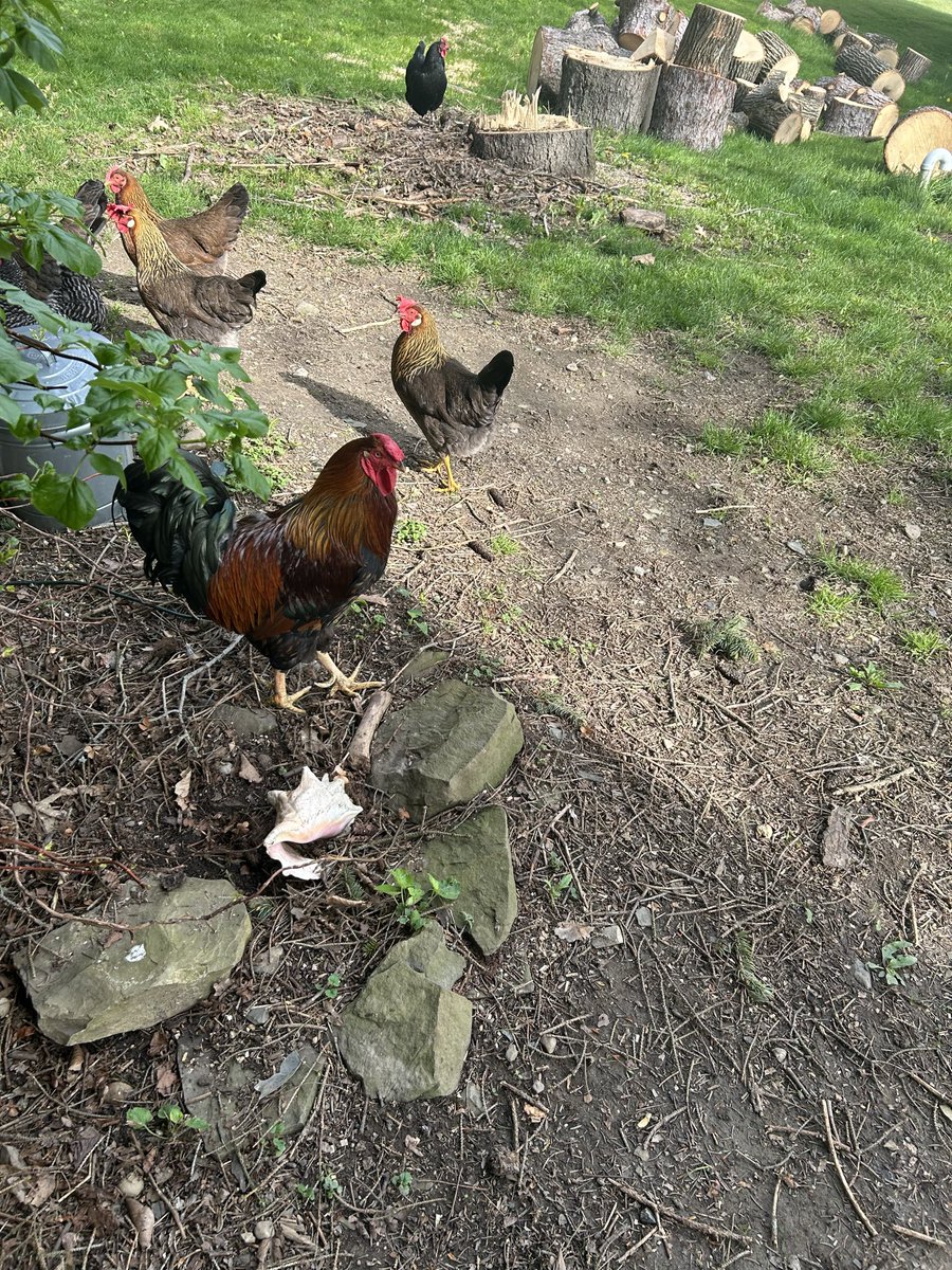 Megan Fox tweet media