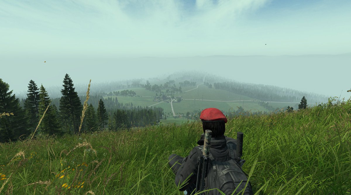 Bettina Riedermeir tweet media