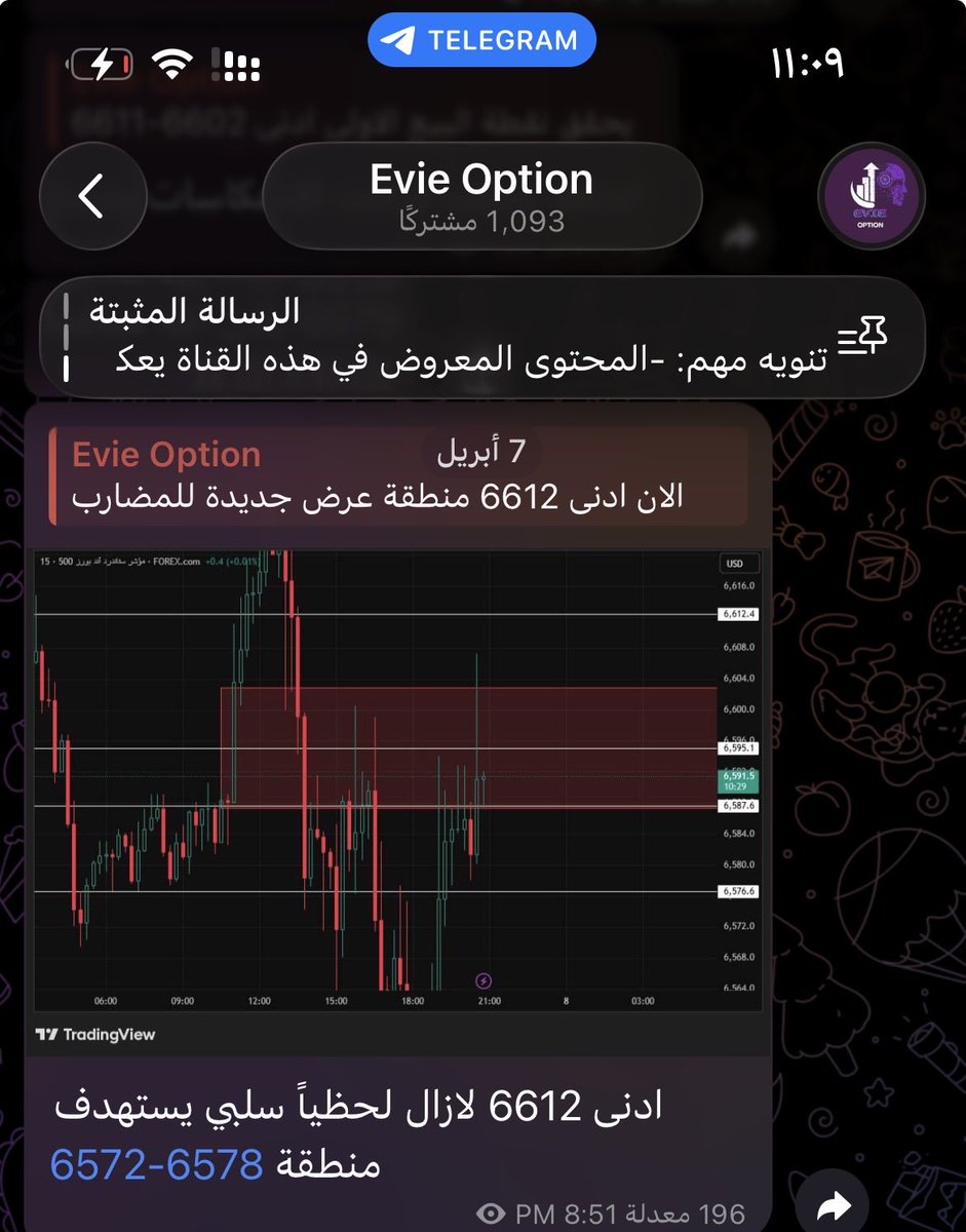Evie Option tweet media