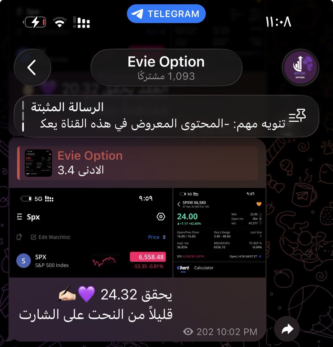 Evie Option tweet media