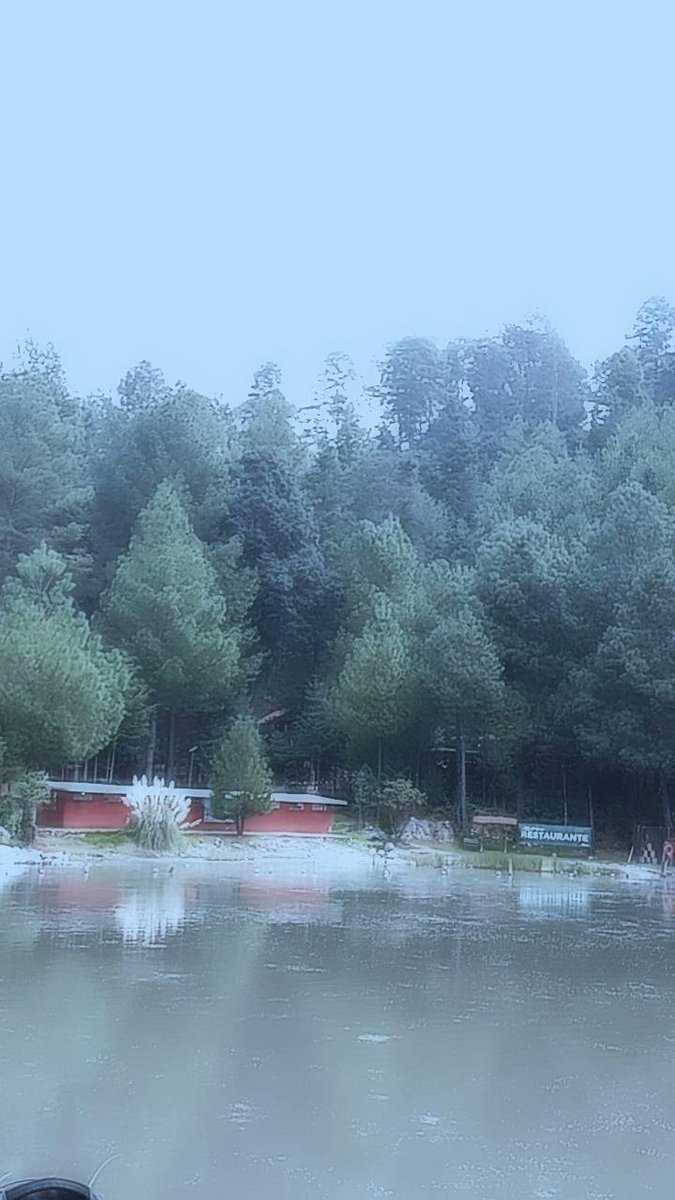 シ軸DanielWB軸シ 🤍 tweet media