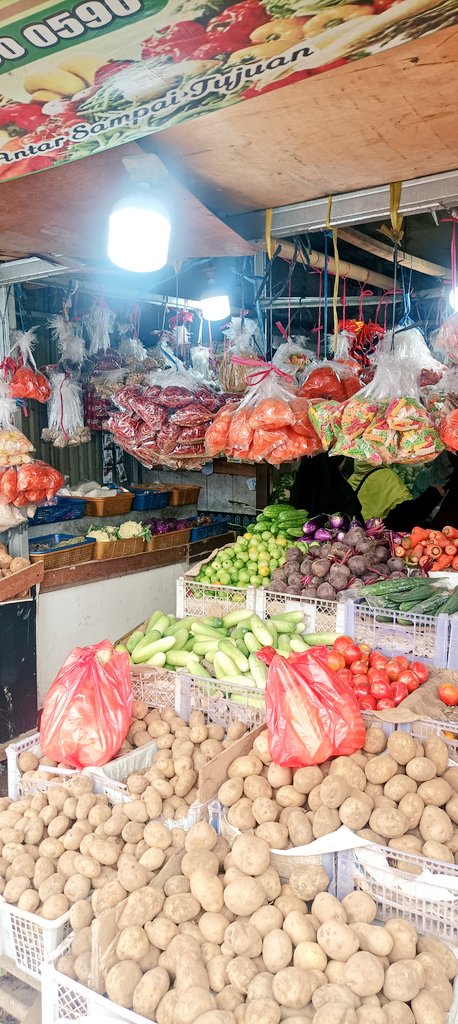 MimiMelon 🍄 tweet media