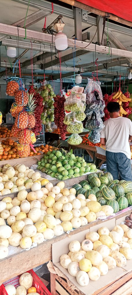 MimiMelon 🍄 tweet media