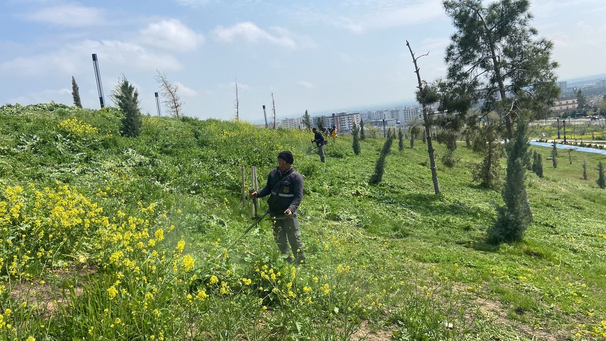 ŞBB PARK VE BAHÇELER 🇹🇷 tweet media