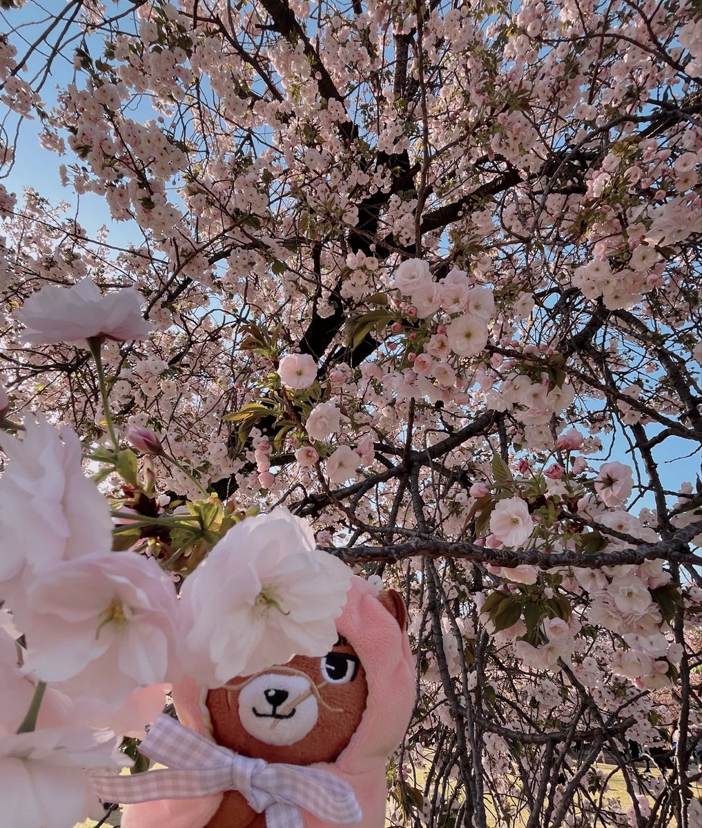 𝓱𝓪𝓫𝓪𝓷𝓮ʕ·͡·ʔ☀︎ tweet media