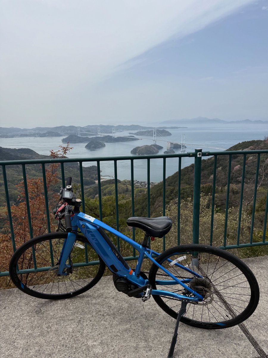 さとこ@シドニー🇦🇺 tweet media