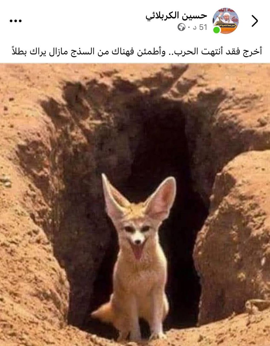 ⋆.˚✮🪽مـيـرال🪽✮˚.⋆ tweet media