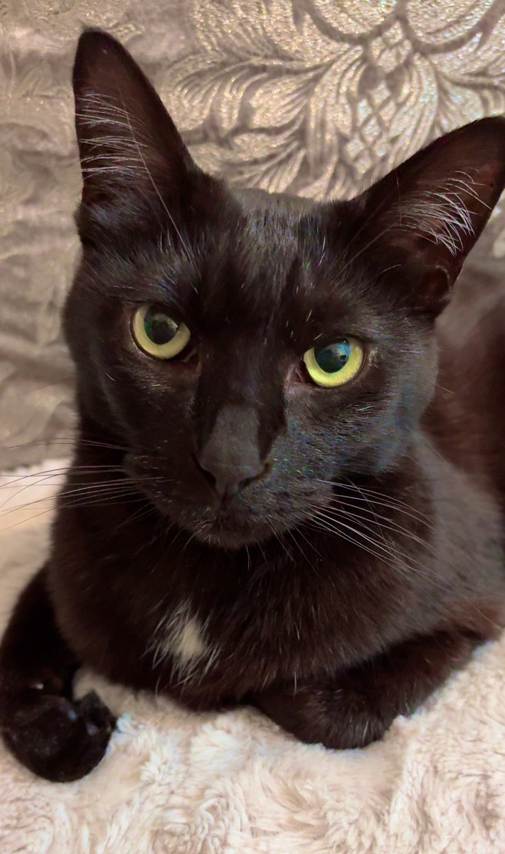 くらの tweet media