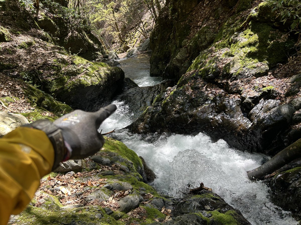 【自然遊撃隊】こうへい⛏️ tweet media