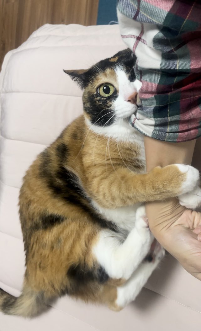 Cecil 세실 tweet media