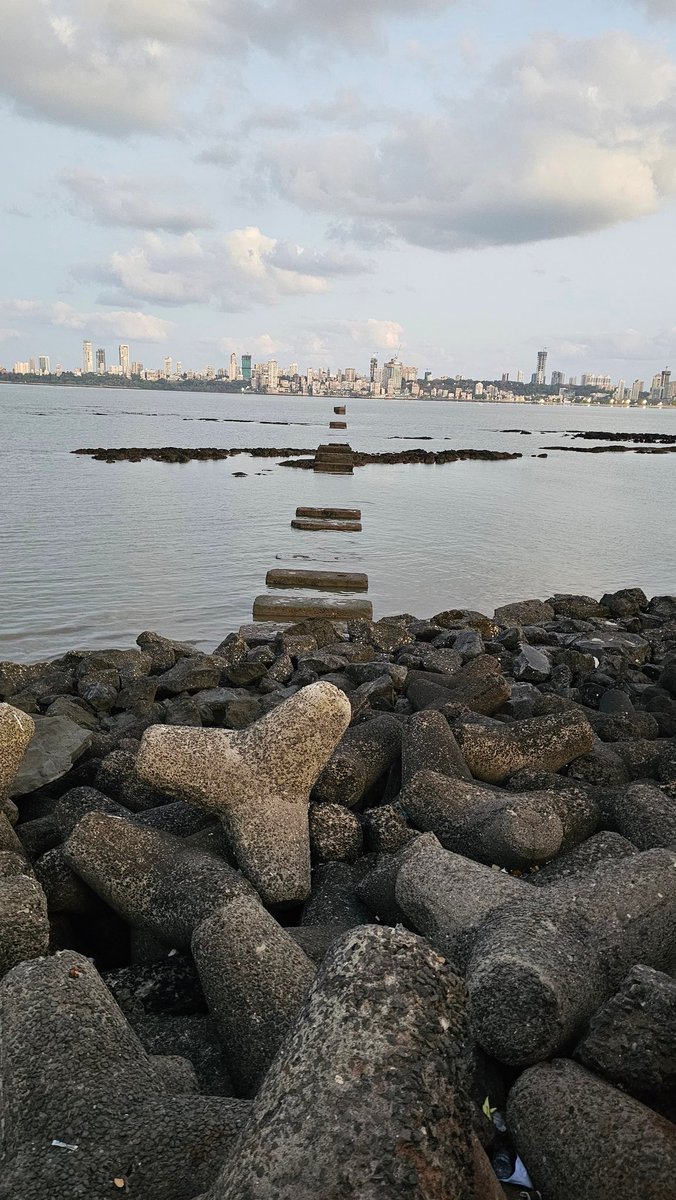 The WP Weekly tweet media