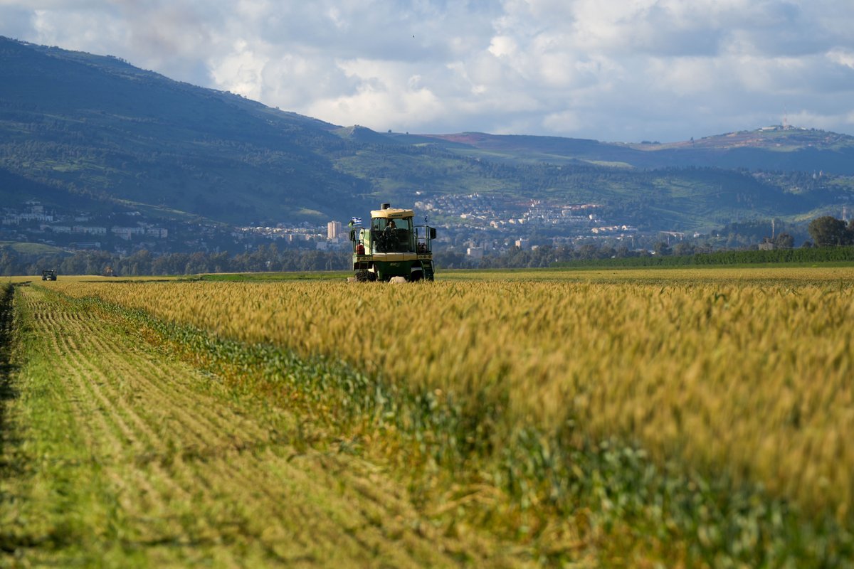 Hananya Naftali tweet media