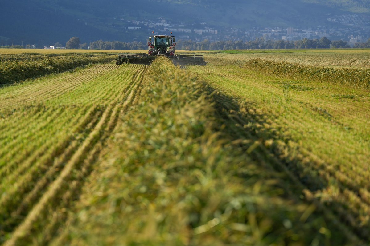 Hananya Naftali tweet media