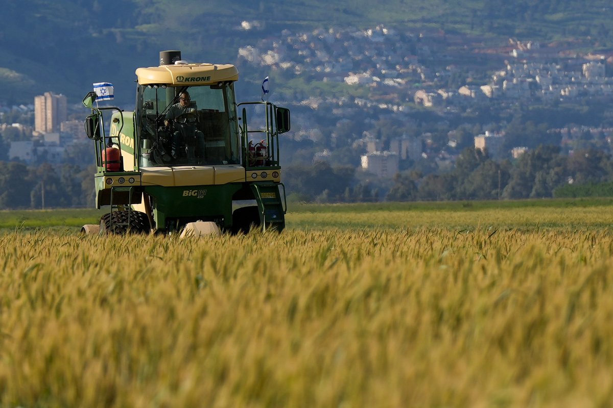 Hananya Naftali tweet media