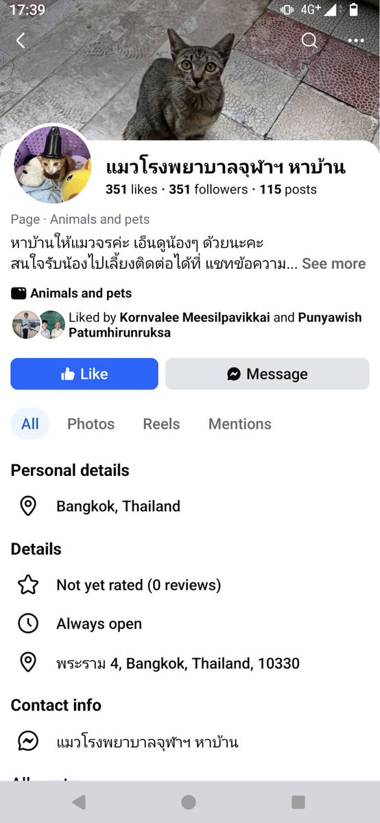 bllless 🏳️‍🌈🇺🇦🍭 tweet media