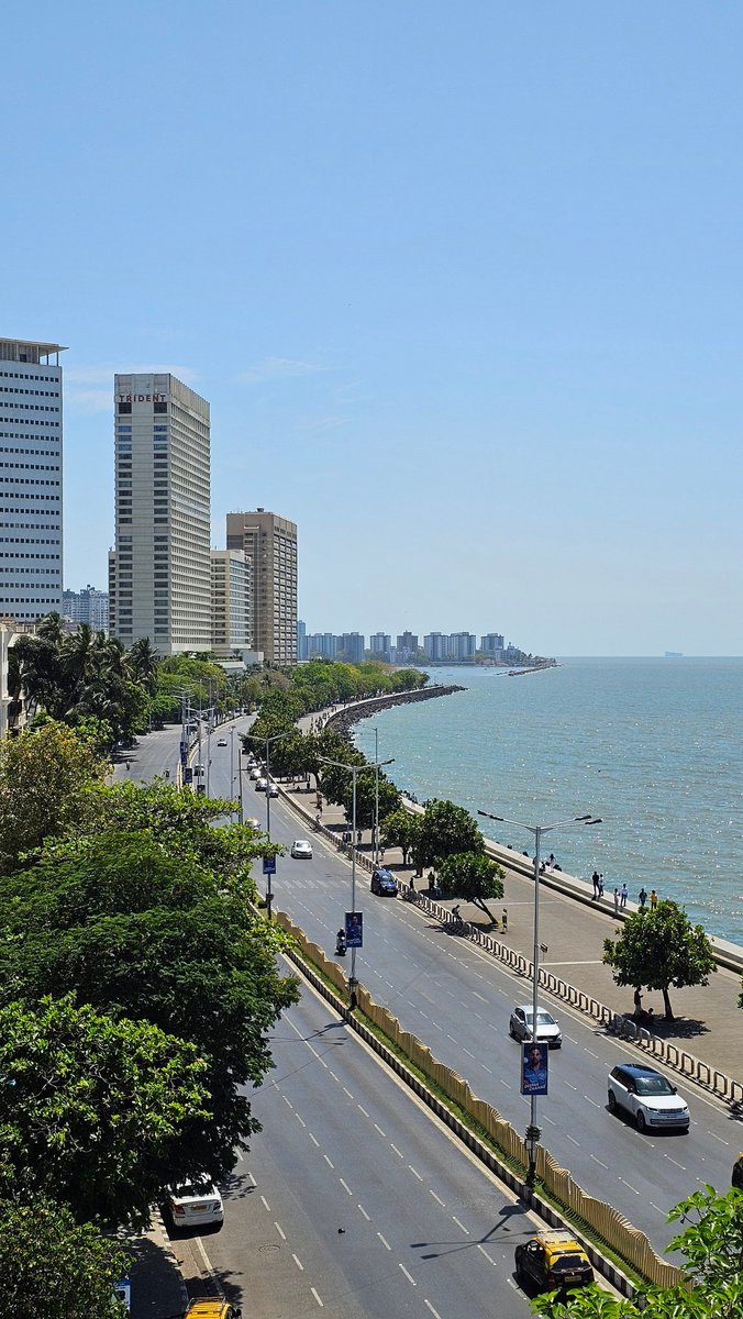 The WP Weekly tweet media