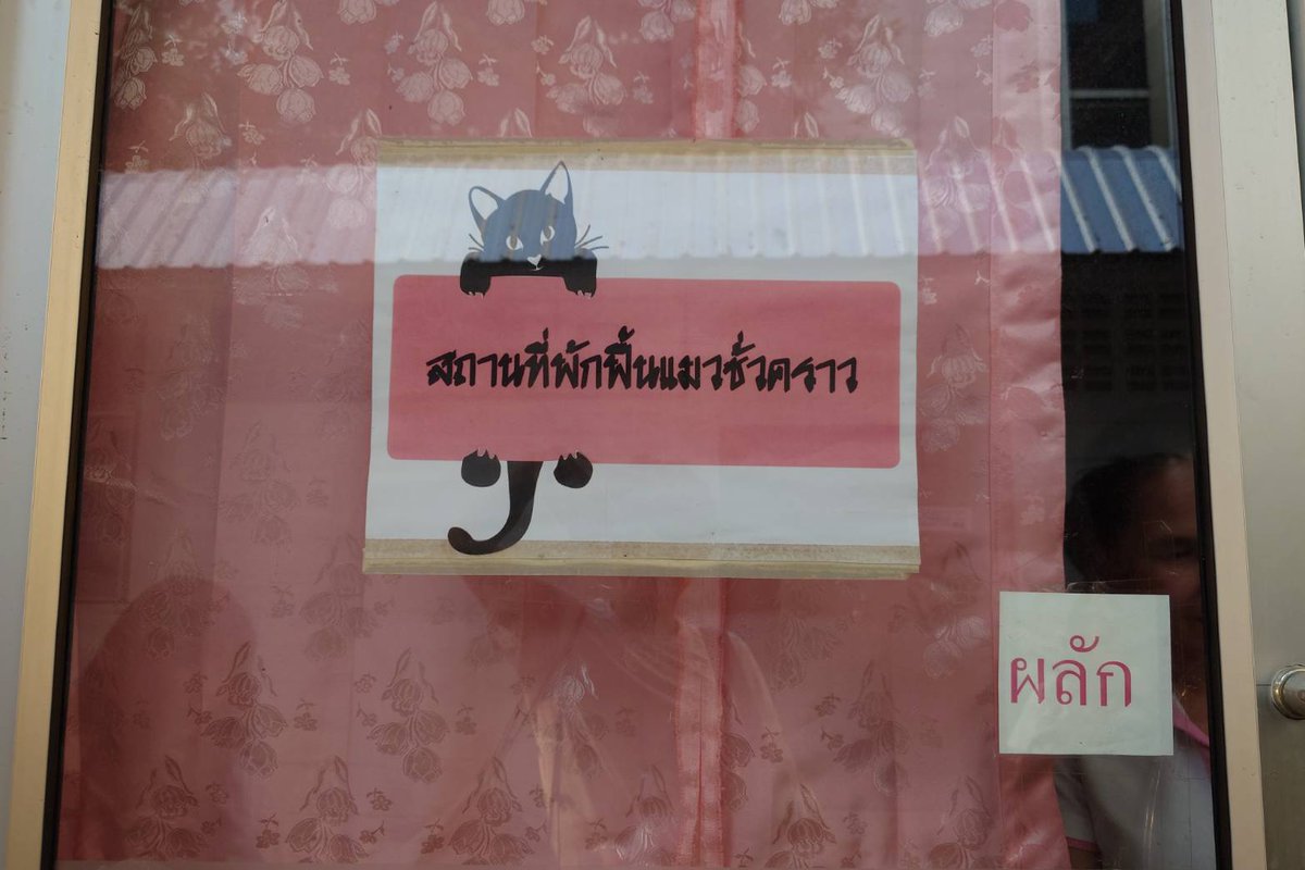 bllless 🏳️‍🌈🇺🇦🍭 tweet media