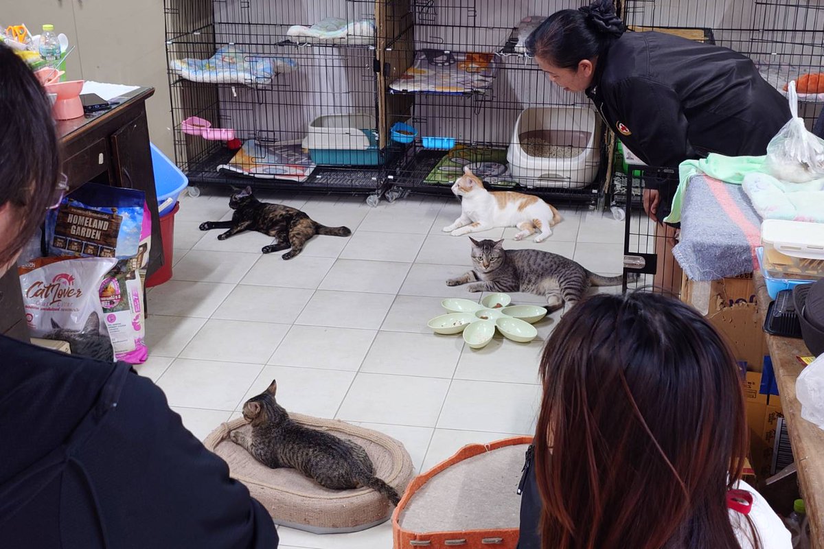 bllless 🏳️‍🌈🇺🇦🍭 tweet media