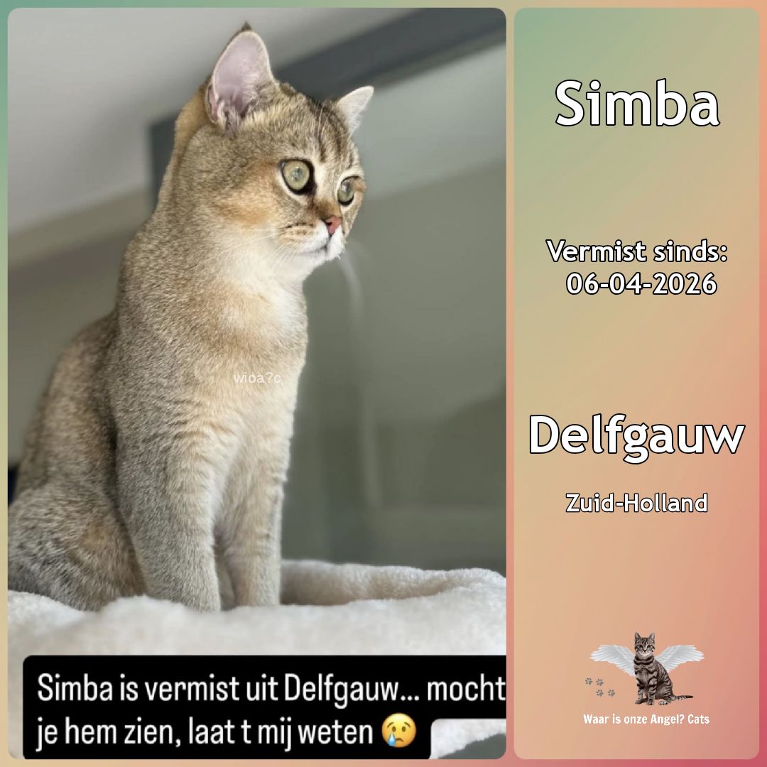 waarisonzeangel's tweet image. Simba #Vermist sinds 06-04-2026 te #Delfgauw #ZuidHolland 

facebook.com/photo/?fbid=12…
