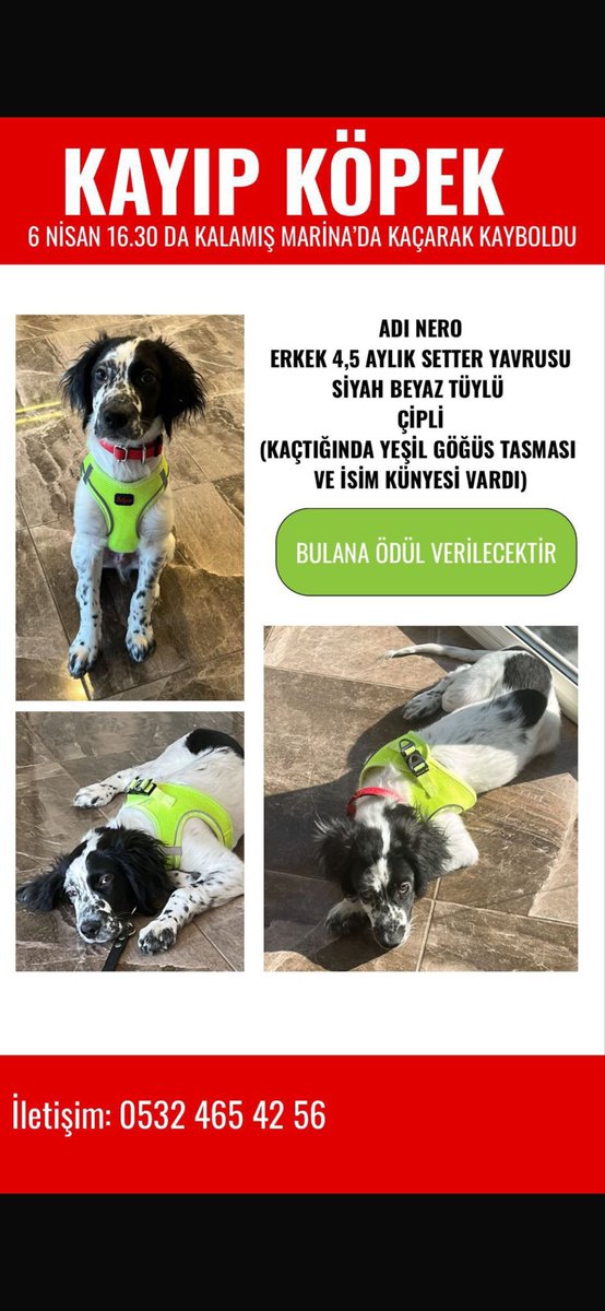 Murat K. tweet media