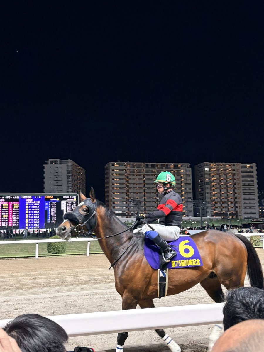 こたろう tweet media