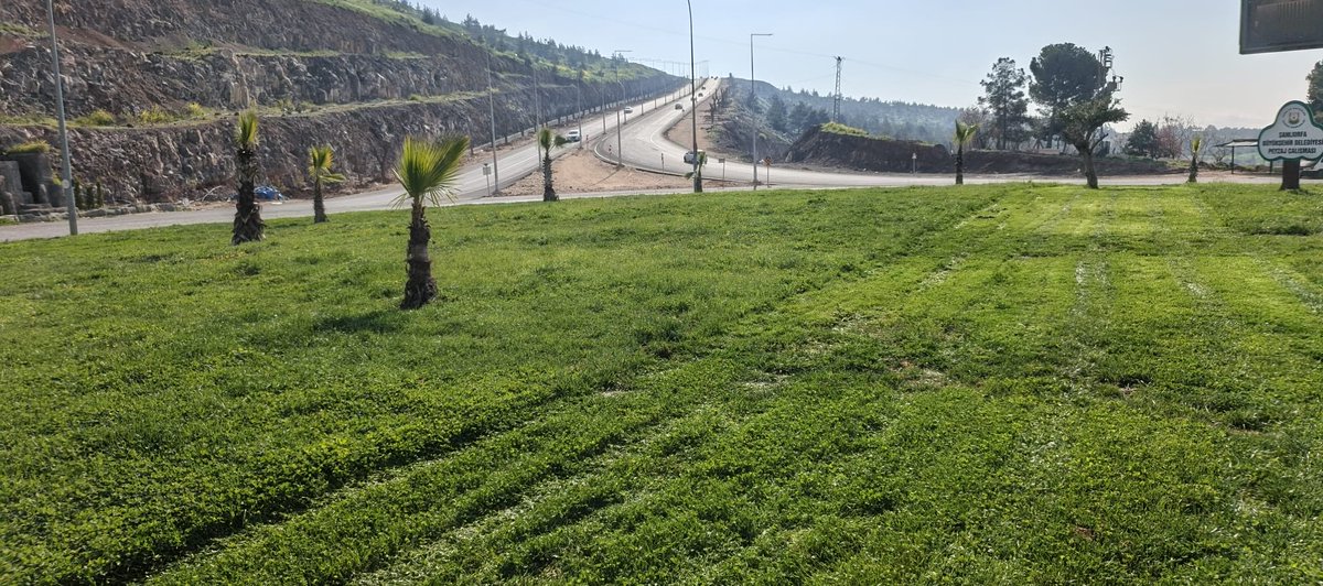 ŞBB PARK VE BAHÇELER 🇹🇷 tweet media