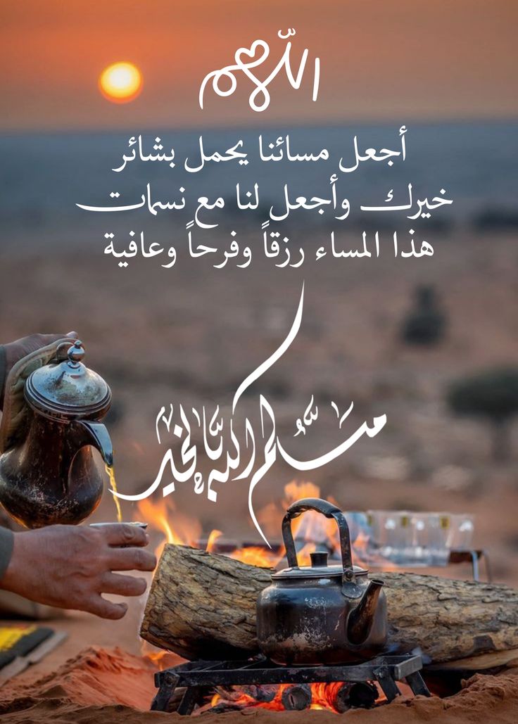 Mostafa Al-saied (HR) tweet media