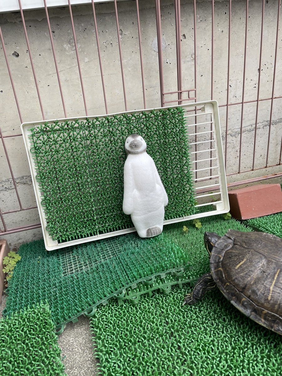 むうttvyv tweet media