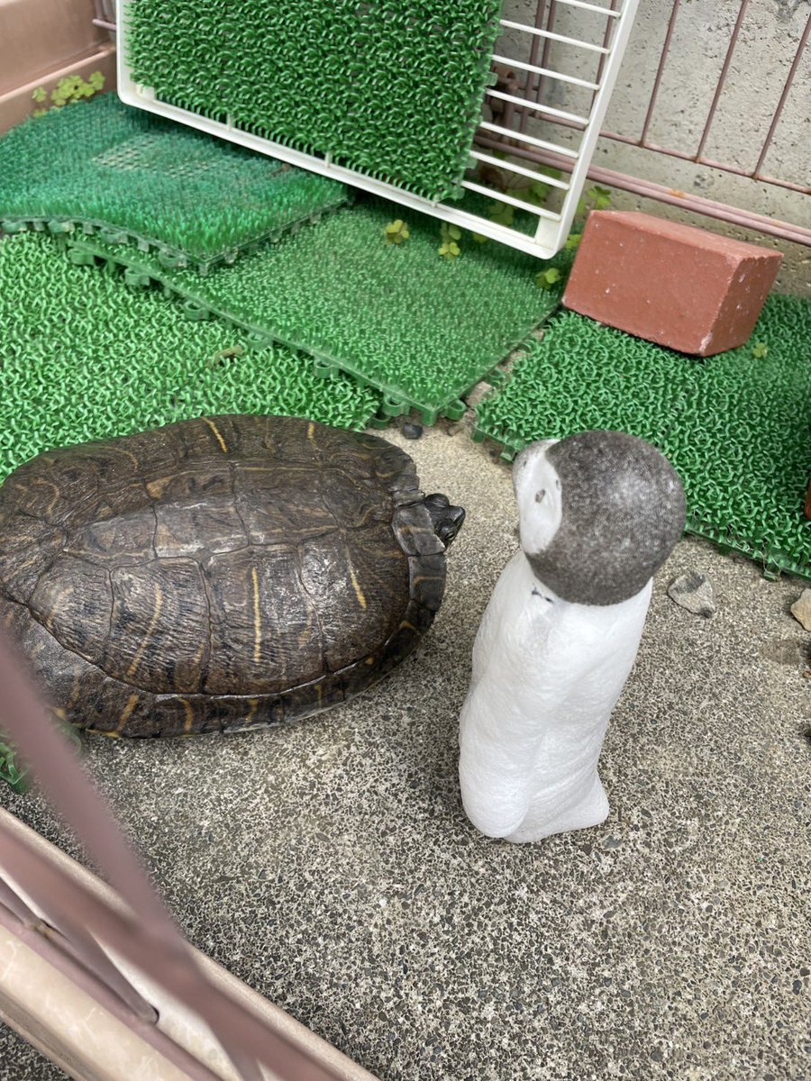 むうttvyv tweet media