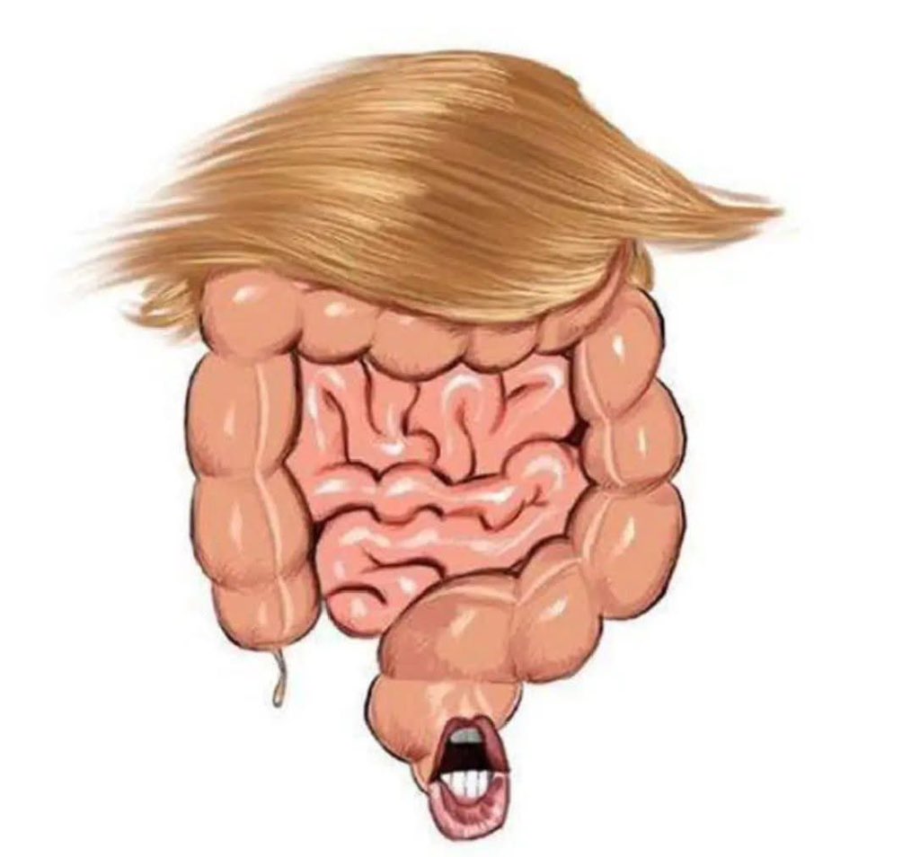 MARIELinBOSTON's tweet image. Trump talks thru his gut but lacks basic instinct, intuition, self-awareness and critical thinking. 
#TrumpIsADunce  #RemoveTrumpOrResign