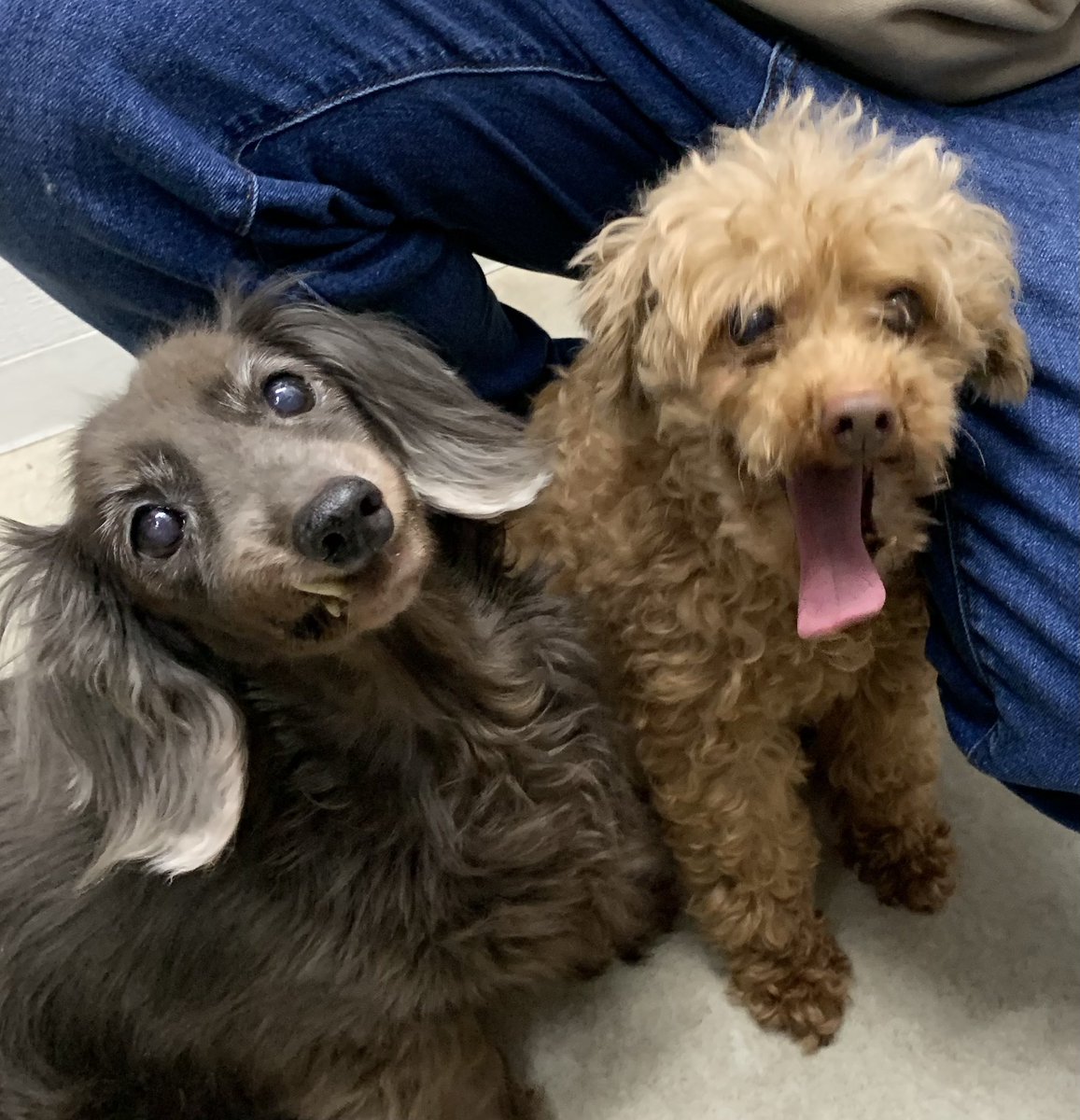 NPO法人LoveFive tweet media