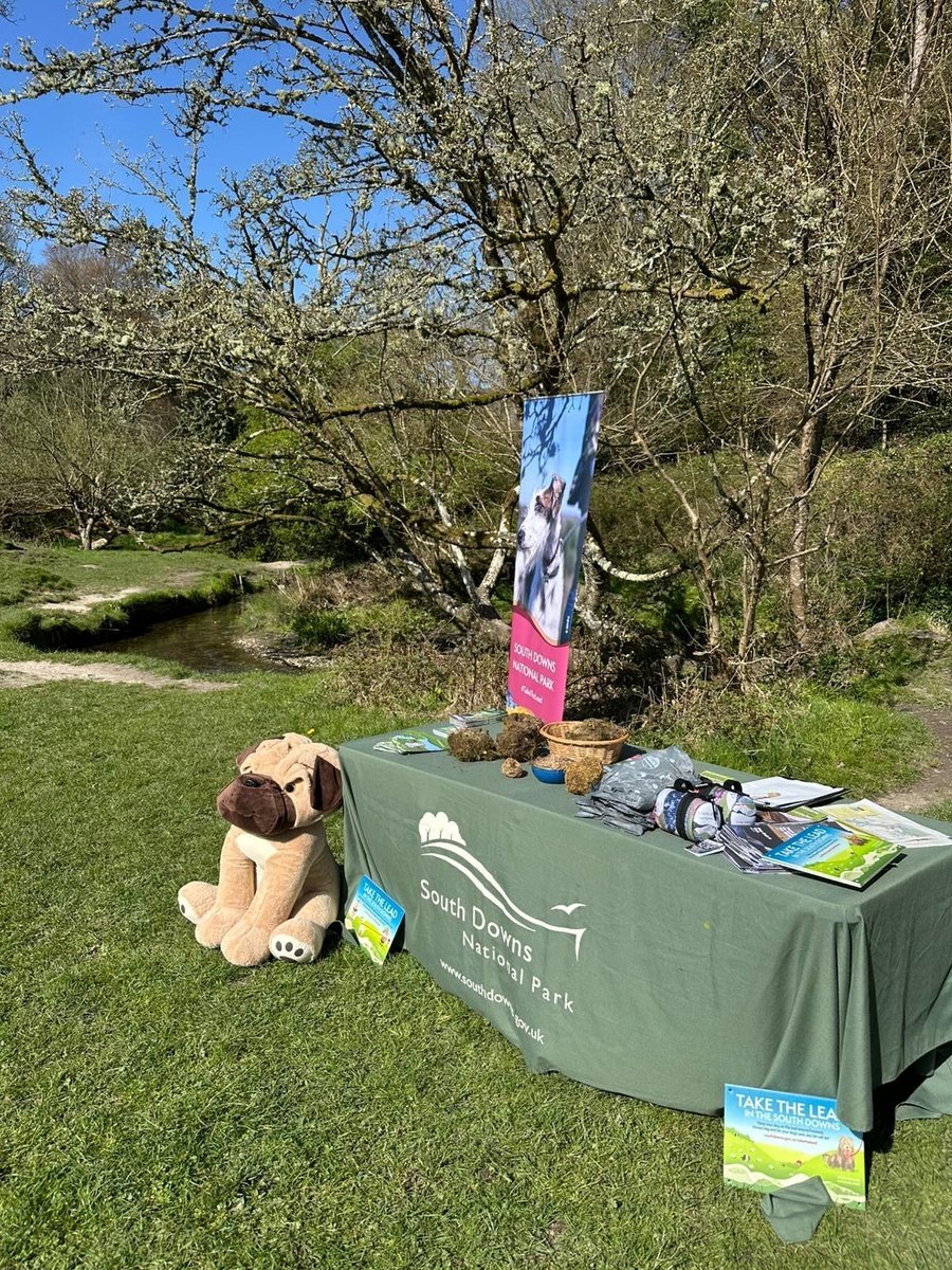 sdnpa's tweet image. What a beautiful day! 🌞

Our team are out by the stream in the Lythes in Selborne today - come and say hi!

We’ve got a 'guess the nest' activity, loads of National Park info, and plenty of dog treats (Flynn approves!).

#TakeTheLead #PawsOnThePath