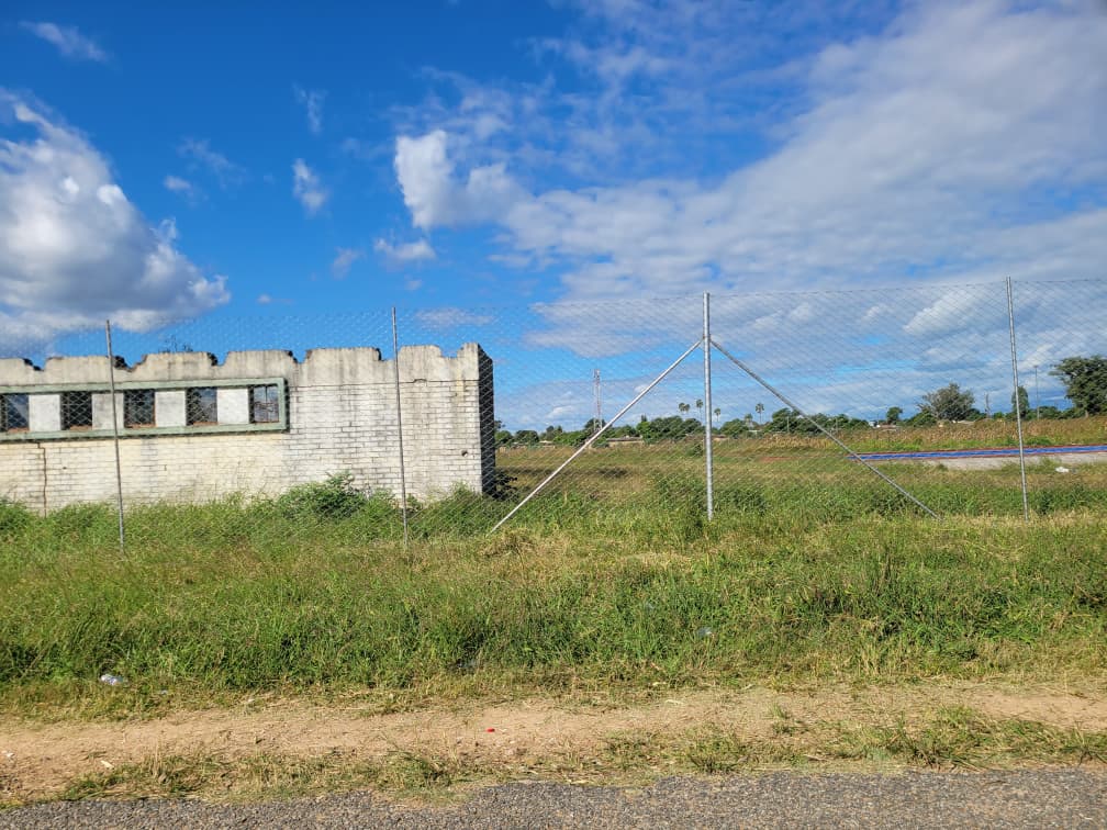 The Watch tweet media