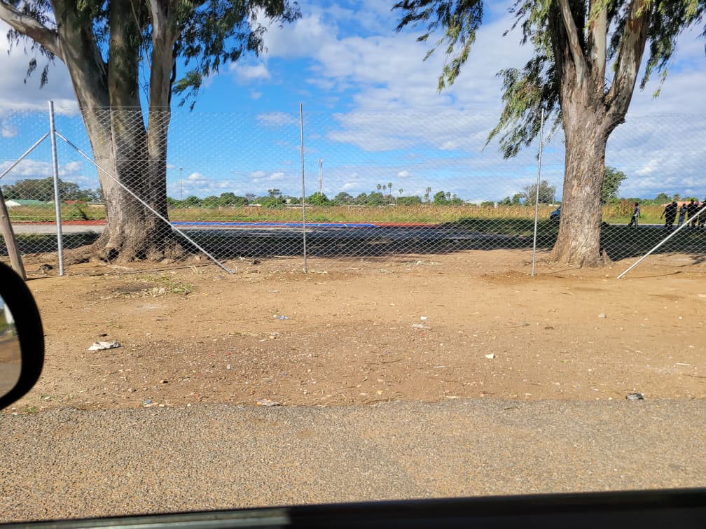 The Watch tweet media