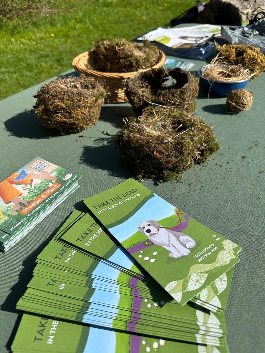 sdnpa's tweet image. What a beautiful day! 🌞

Our team are out by the stream in the Lythes in Selborne today - come and say hi!

We’ve got a 'guess the nest' activity, loads of National Park info, and plenty of dog treats (Flynn approves!).

#TakeTheLead #PawsOnThePath