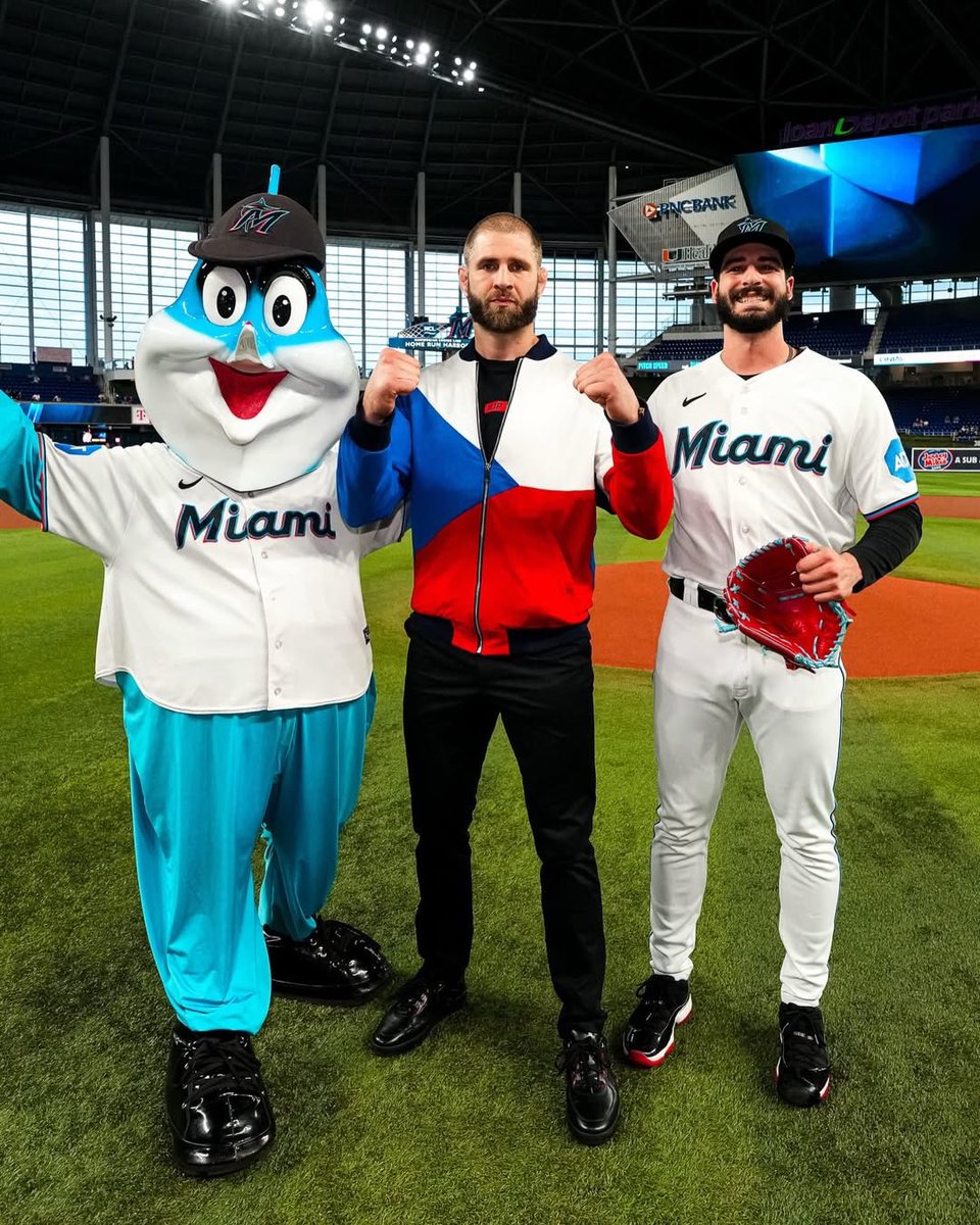 Baseball Czech tweet media