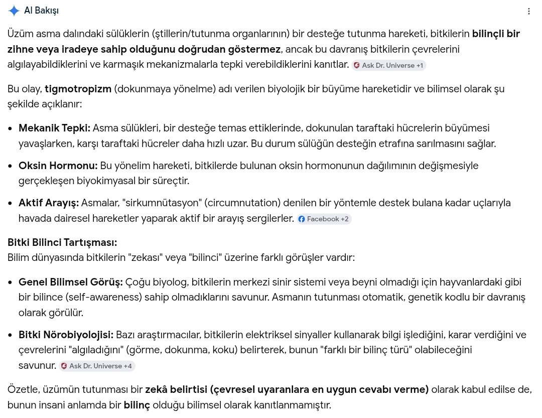 KozmikBilinç 🇹🇷 𐰏𐰜𐱅𐰀𐰭𐰼𐰃 tweet media