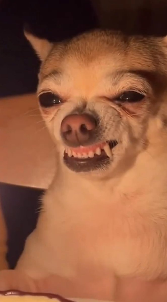 Chinny E-star tweet media